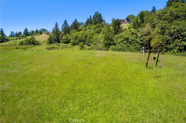 29860 State Highway 36, Bridgeville, CA 95526 - photo 13