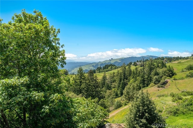 29860 State Highway 36, Bridgeville, CA 95526 - photo 43