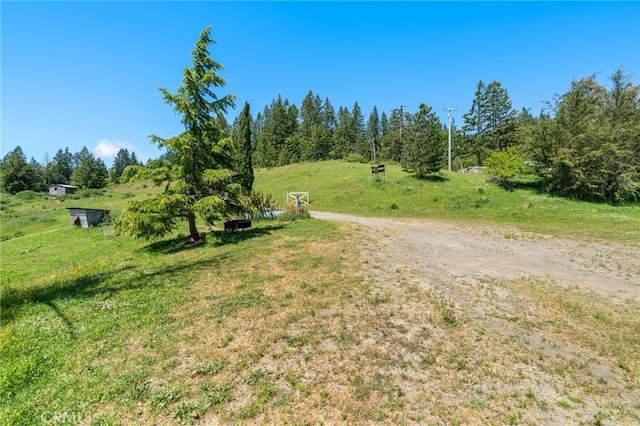 29860 State Highway 36, Bridgeville, CA 95526 - photo 30