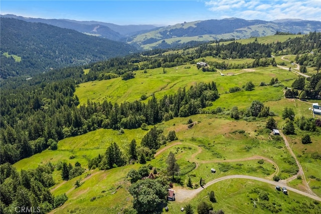 29860 State Highway 36, Bridgeville, CA 95526 - photo 5
