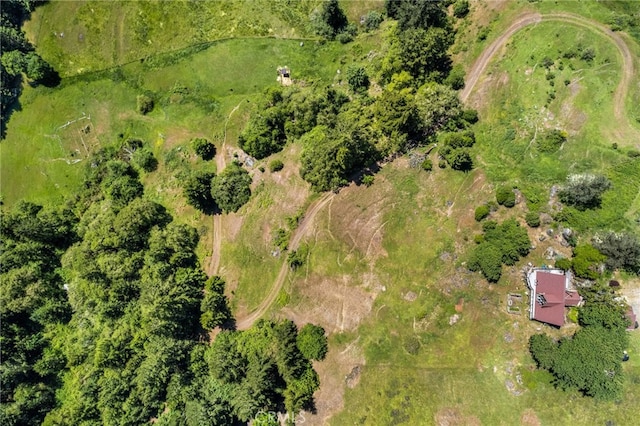 29860 State Highway 36, Bridgeville, CA 95526 - photo 7