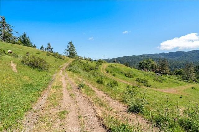 29860 State Highway 36, Bridgeville, CA 95526 - photo 22