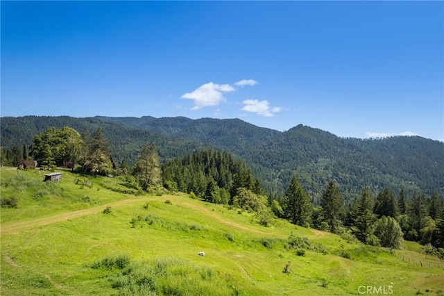 29860 State Highway 36, Bridgeville, CA 95526 - photo 6