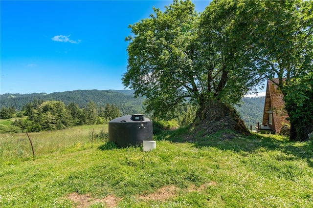 29860 State Highway 36, Bridgeville, CA 95526 - photo 32