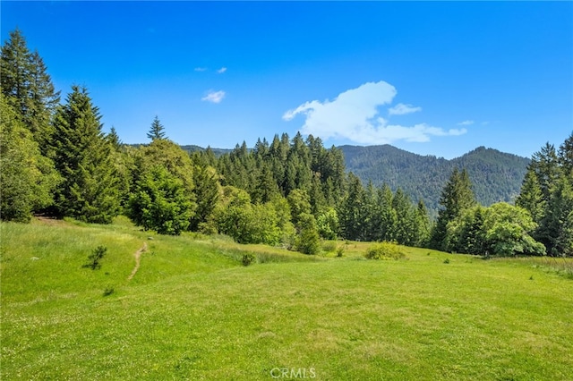 29860 State Highway 36, Bridgeville, CA 95526 - photo 14