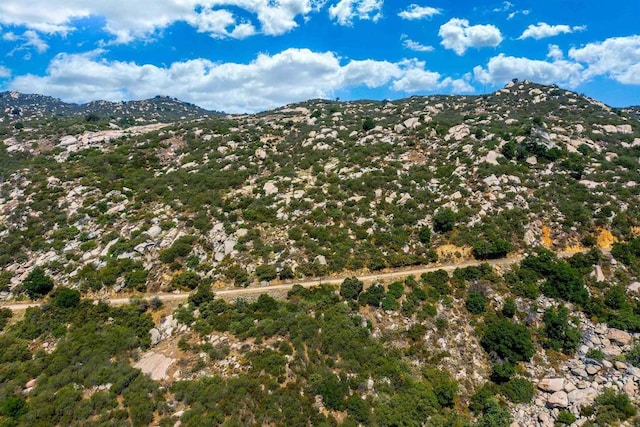 20ACRES Mussey Grade Rd, Ramona, CA 92065 - photo 5