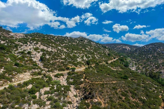 20ACRES Mussey Grade Rd, Ramona, CA 92065 - photo 3