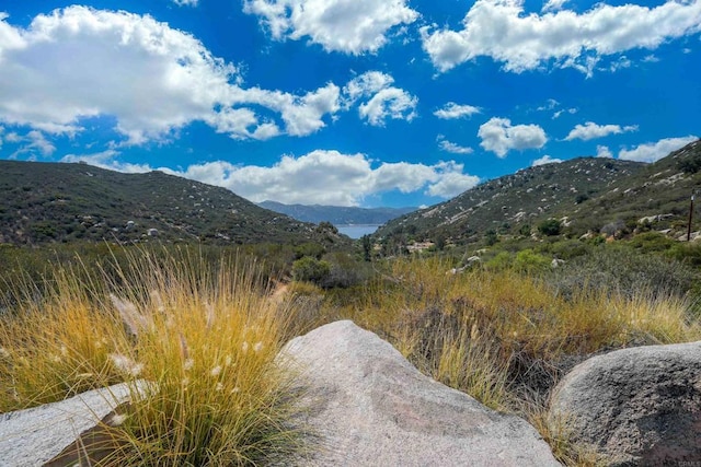 20ACRES Mussey Grade Rd, Ramona, CA 92065 - photo 9