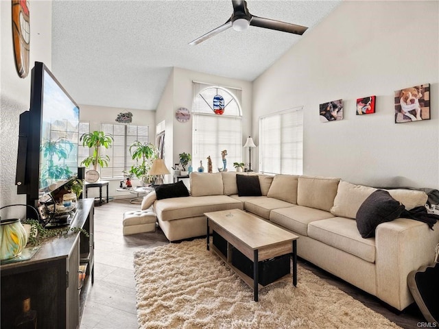 13612 Coachella Rd, Apple Valley, CA 92308 - photo 3