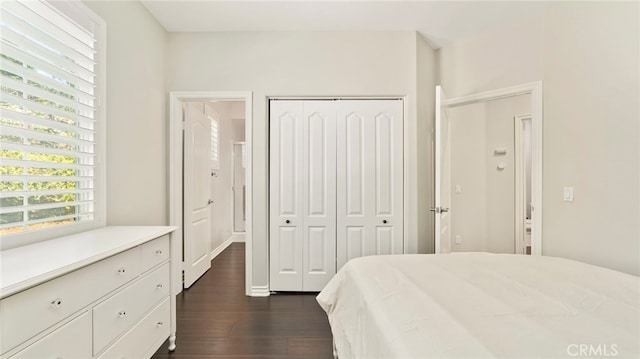 637 Chaparral Ct, Altadena, CA 91001 - photo 26