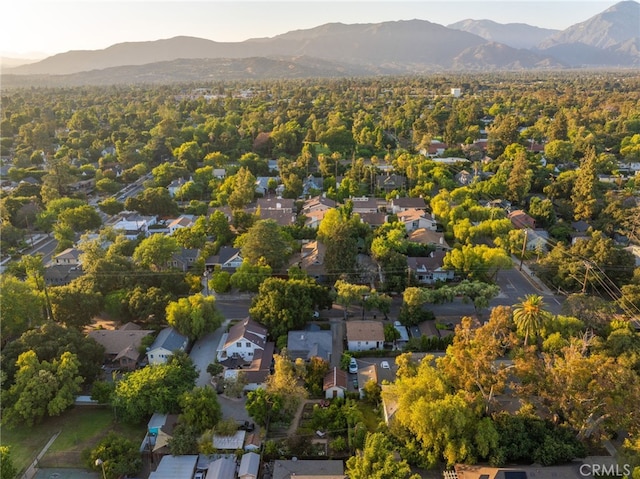 330 W 6th St, Claremont, CA 91711 - photo 43