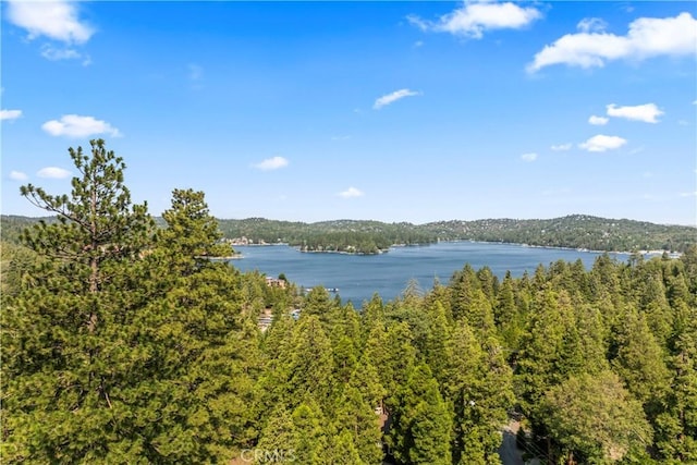 101 State Highway 173, Lake Arrowhead, CA 92352 - photo 50