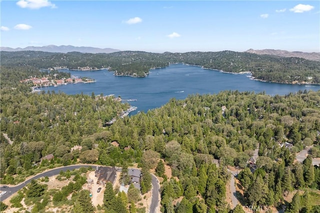 101 State Highway 173, Lake Arrowhead, CA 92352 - photo 51