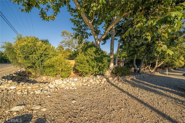 2492 Grand Ave, Claremont, CA 91711 - photo 42