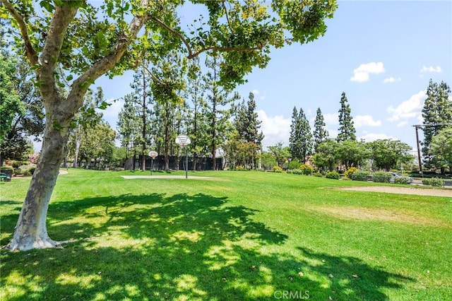 1310 Brookside Ct, Upland, CA 91784 - photo 40