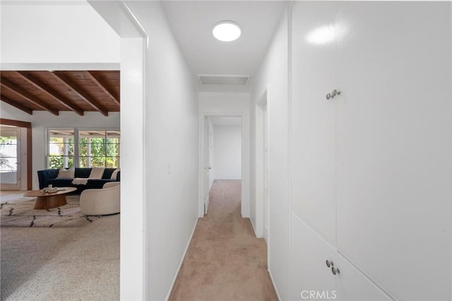 6820 Encino Ave, Van Nuys, CA 91406 - photo 12