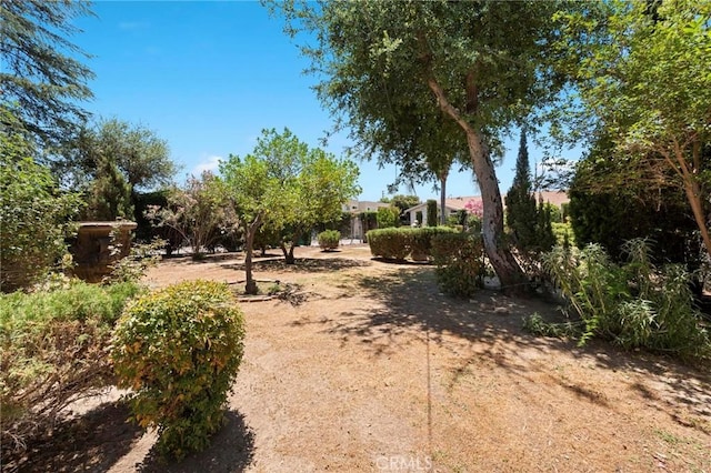 6820 Encino Ave, Van Nuys, CA 91406 - photo 22
