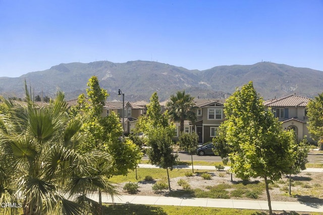 1943 Pump House Ln, Santa Paula, CA 93060 - photo 32