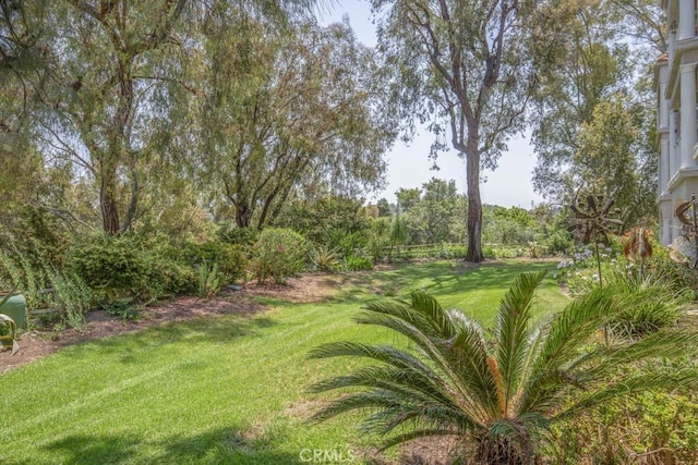3510 Bahia Blanca W Unit 3C, Laguna Woods, CA 92637 - photo 28