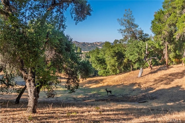 5550 Las Tablas Bay Dr, Paso Robles, CA 93446 - photo 59