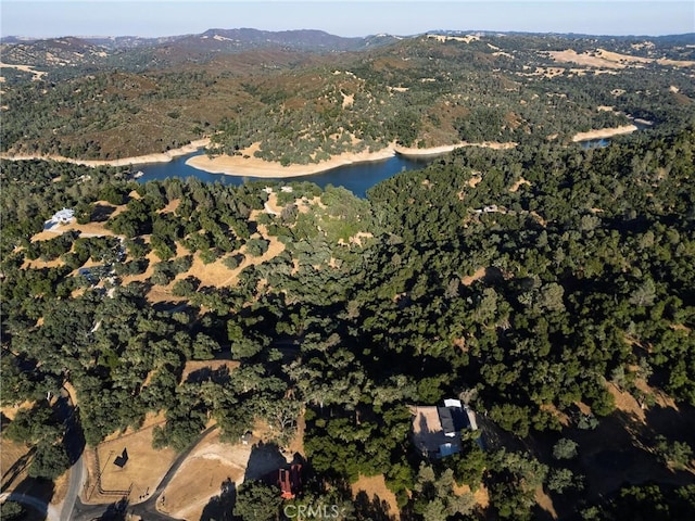 5550 Las Tablas Bay Dr, Paso Robles, CA 93446 - photo 66