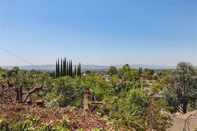 12131 Woodley Ave, Granada Hills, CA 91344 - photo 34