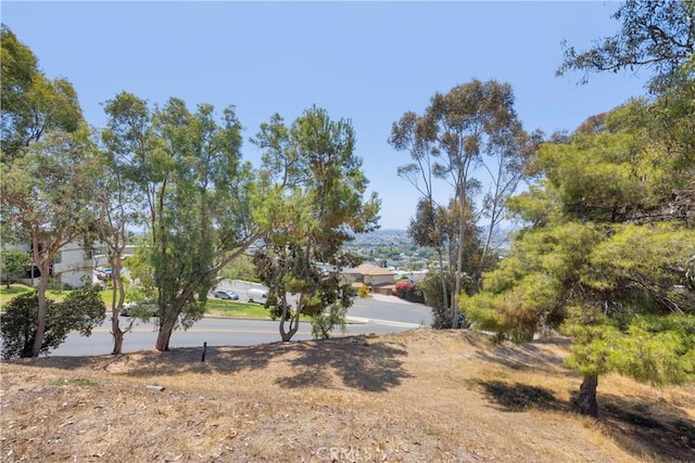 2101 Stanley Ave, Signal Hill, CA 90755 - photo 30