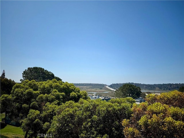 1035 Reliance Way, Del Mar, CA 92014 - photo 9