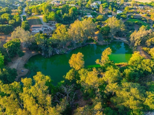 16635 Highland Valley Rd, Ramona, CA 92065 - photo 45