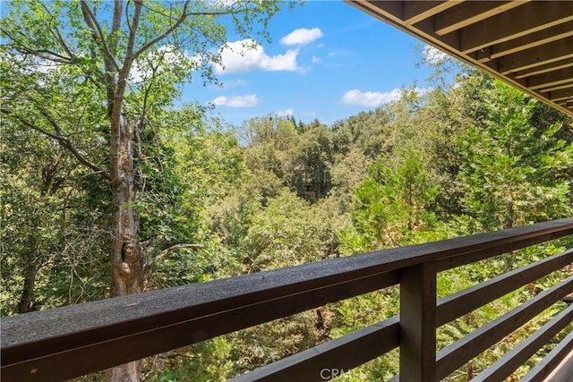 332 Wylerhorn Dr, Crestline, CA 92325 - photo 33