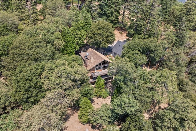 332 Wylerhorn Dr, Crestline, CA 92325 - photo 41