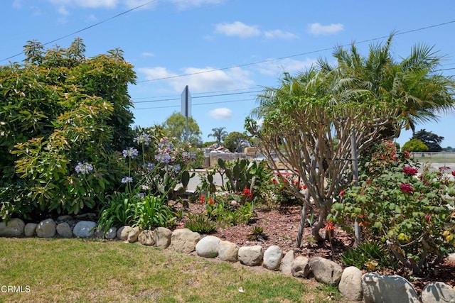 4617 9th St, Carpinteria, CA 93013 - photo 3