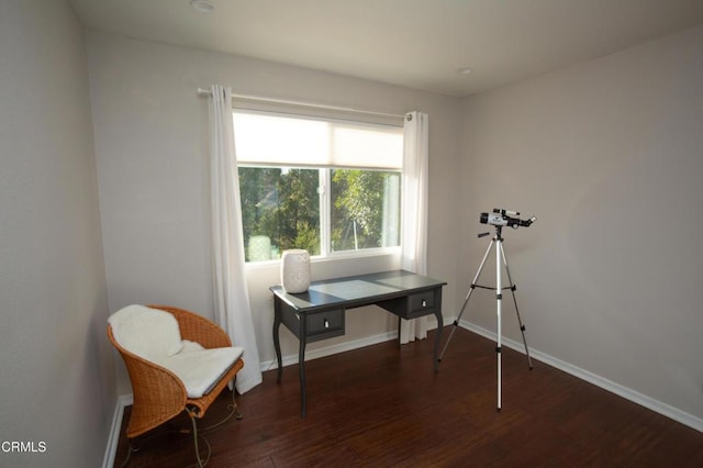 548 Live Oak Circle Dr, Calabasas, CA 91302 - photo 49