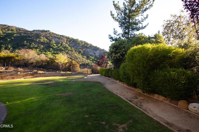 548 Live Oak Circle Dr, Calabasas, CA 91302 - photo 42