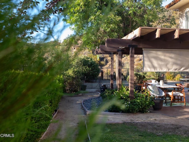 548 Live Oak Circle Dr, Calabasas, CA 91302 - photo 41
