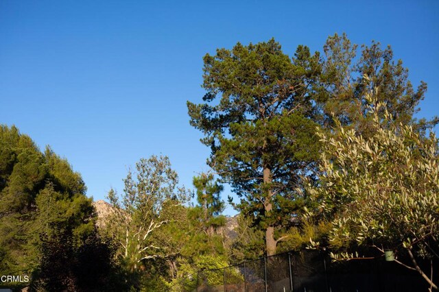 548 Live Oak Circle Dr, Calabasas, CA 91302 - photo 31