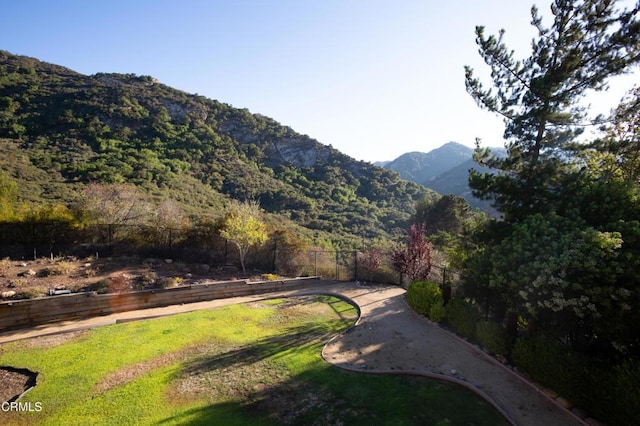548 Live Oak Circle Dr, Calabasas, CA 91302 - photo 58