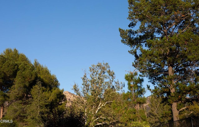 548 Live Oak Circle Dr, Calabasas, CA 91302 - photo 29