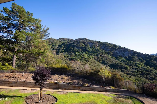 548 Live Oak Circle Dr, Calabasas, CA 91302 - photo 57