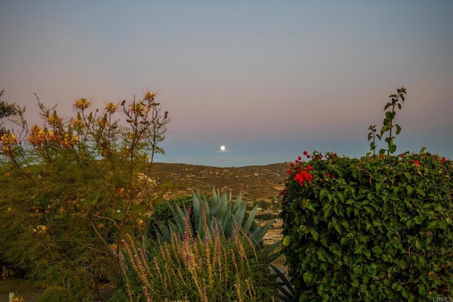 284 Ramona Real, Ramona, CA 92065 - photo 42