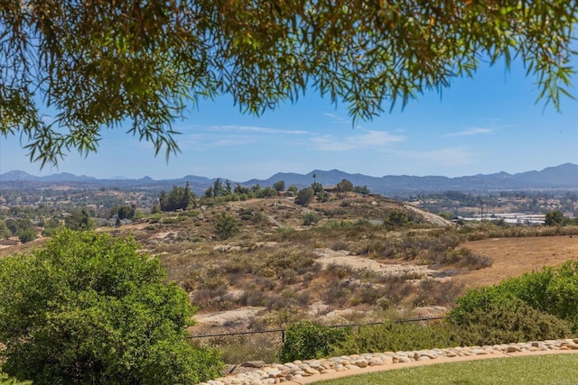 284 Ramona Real, Ramona, CA 92065 - photo 53