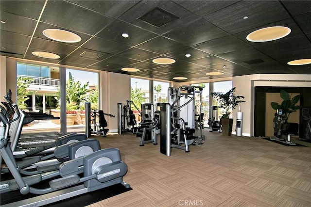 8145 Scholarship, Irvine, CA 92612 - photo 42