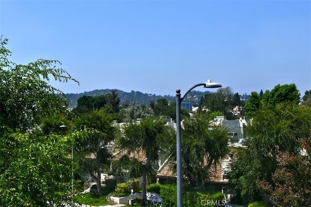 4230 Colfax Ave Unit 201, Studio City, CA 91604 - photo 8