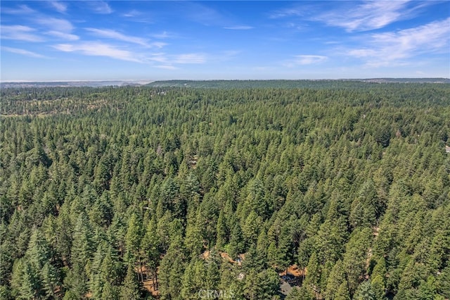 6580 Perry Rd, Magalia, CA 95954 - photo 48