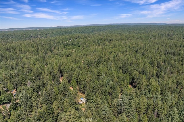 6580 Perry Rd, Magalia, CA 95954 - photo 47