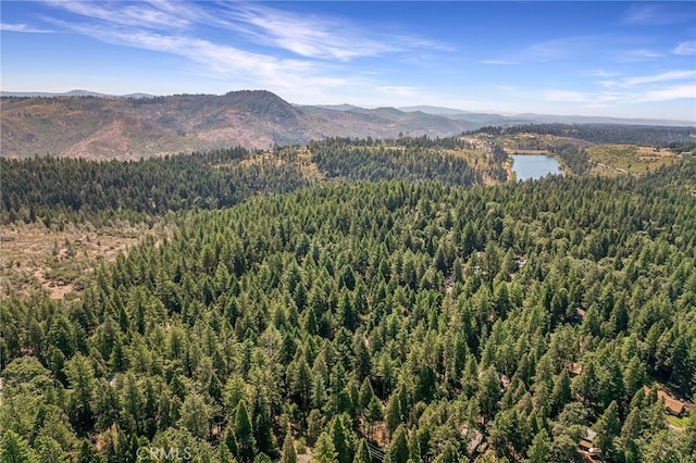 6580 Perry Rd, Magalia, CA 95954 - photo 51