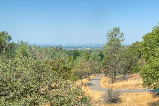5 Hill Dr, Oroville, CA 95966 - photo 40