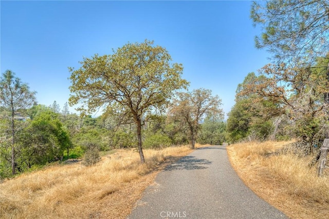 5 Hill Dr, Oroville, CA 95966 - photo 68