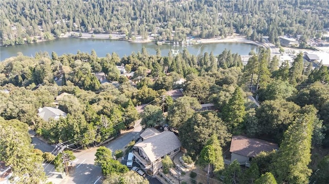 370 Weisshorn Dr, Crestline, CA 92325 - photo 38