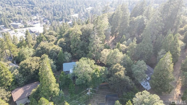 370 Weisshorn Dr, Crestline, CA 92325 - photo 39